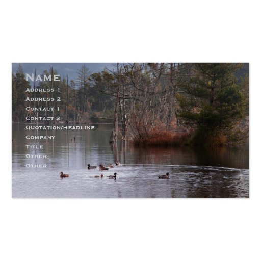 Ducks On Empire Lake Business Card Templates (front side)