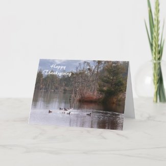 Ducks On Empire Lake Greeting Cards
