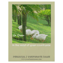 Ducks on Green Grass flyers