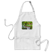 Ducks on Pond Aprons