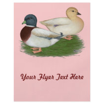 Ducks:  Pastel Calls Flyers