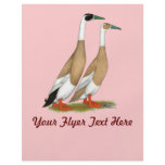 Ducks:  Penciled Indian Runners Flyer Design