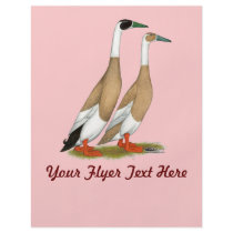 Ducks:  Penciled Indian Runners Flyer Design