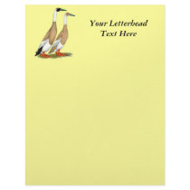 Ducks:  Penciled Indian Runners Letterhead