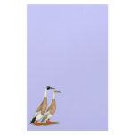 Ducks:  Penciled Indian Runners Personalized Stationery