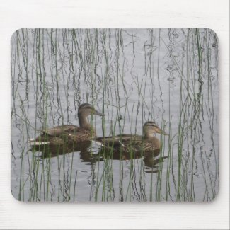 ducks.pgn mouse pad