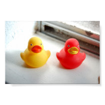 Ducks posters by LOOFYPOOMAN Ducks posters