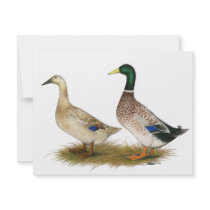 Ducks: Silver Welsh Harlequin invitations by diane_jacky Ducks: Silver Welsh Harlequin invitations