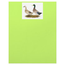 Ducks:  Silver Welsh Harlequin letterhead