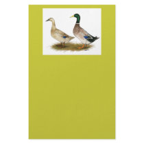 Ducks:  Silver Welsh Harlequin stationery