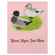 Ducks:  Snowy Calls Flyer