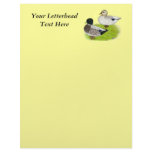 Ducks:  Snowy Calls Letterhead