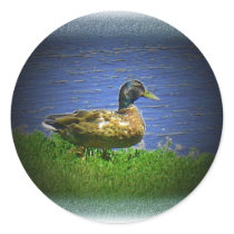 Ducks stickers by jdowdell Ducks stickers