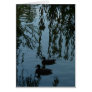 Ducks Under the Willow Greeting Cards