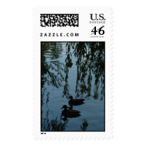 Ducks Under the Willow postage