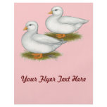 Ducks:  White Calls Flyer
