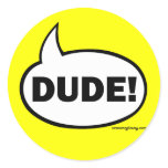 DUDE-1 stickers