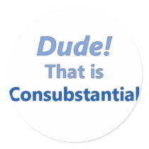 Dude! That is consubstantial Round Stickers
