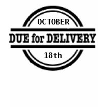 Due for delivery pregnancy shirt