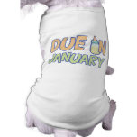 Due In January pet clothing