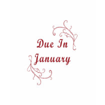 Due In January T Shirt