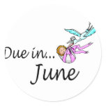 Due In June Round Stickers
