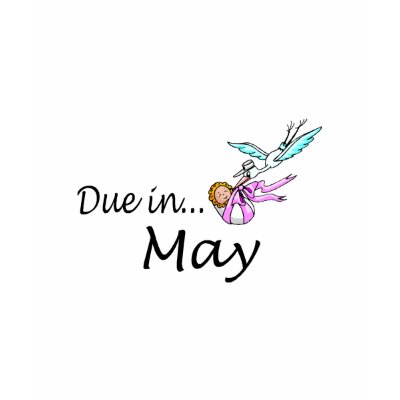 Due In May (Baby/Stork) T-shirt by CelebrationZazzle