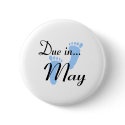 Due In May buttons by TeeZazzle Due In May buttons