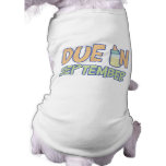 Due In September pet clothing