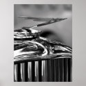 Duesenbird Poster posters
