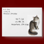 Duffy the Maine Coon Cat Envelope envelopes