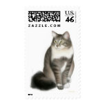 Duffy the Maine Coon Cat Postage