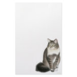 Duffy the Maine Coon Cat Stationery