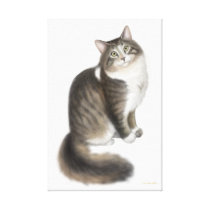 Duffy the Maine Coon Cat Wrapped Canvas