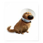 Dug the Dog from Disney Pixar UP