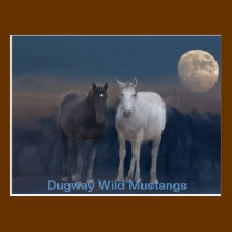 Dugway Wild Mustangs postcards