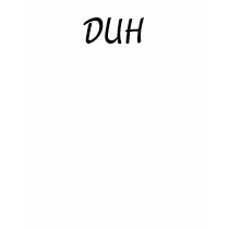 DUH T SHIRT