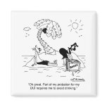 DUI On A Desert Island magnets