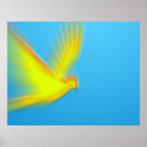 duif 03 posters