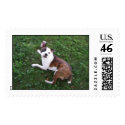Duke2 postage by piecey18 Duke2 postage