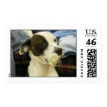 Duke4 Stamps