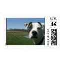 Duke5 postage by piecey18 Duke5 postage