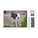 Duke6 postage by piecey18 Duke6 postage