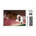 Duke8 postage