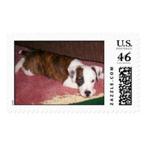 Duke8 postage by piecey18 Duke8 postage
