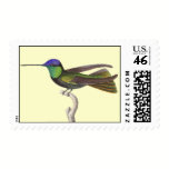Duke of Rivoli's Hummingbird from Antique Print stamps
