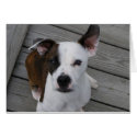 Duke on Dock cards by piecey18 Duke on Dock cards