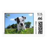 Duke Postage