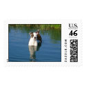 Dukeinpond2 postage by piecey18 Dukeinpond2 postage