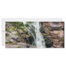 Duluth's Paradise Custom Rack Cards